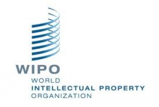 Statistics of international IP filing activities via WIPO in 2013