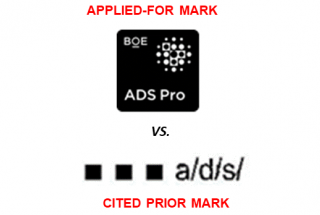 Successful Appeal: International Registration of the mark “BOE ADS Pro, device” granted protection