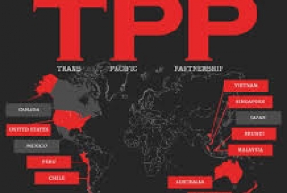 Chương Sở hữu trí tuệ của Hiệp định Đối tác xuyên Thái Bình Dương (TPP) và các tác động đến luật pháp SHTT của Việt Nam